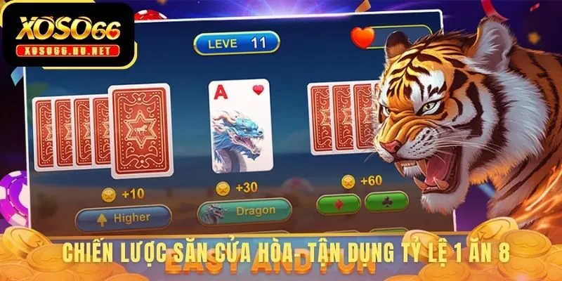 Dragon Tiger Live và chiến thuật săn cửa Hòa 1 ăn 8