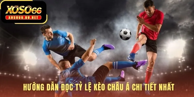 Kèo Châu Á bóng đá giải mã các mức chấp 0.25 0.5 và 0.75