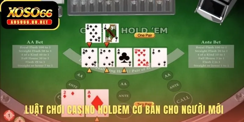 Luật chơi Casino Holdem giải thích quy trình 5 bước cơ bản